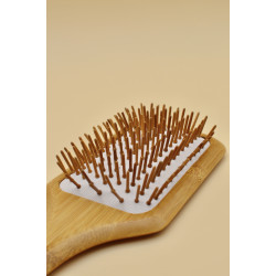 Brosse Plate Paddle Bambou 2023